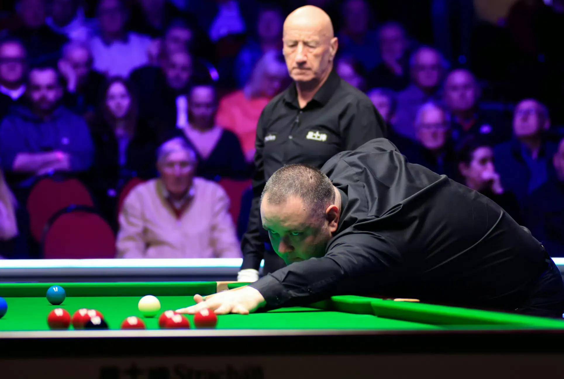 在这篇文章 在这篇文章