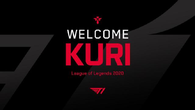 放弃稳定的 放弃稳定的