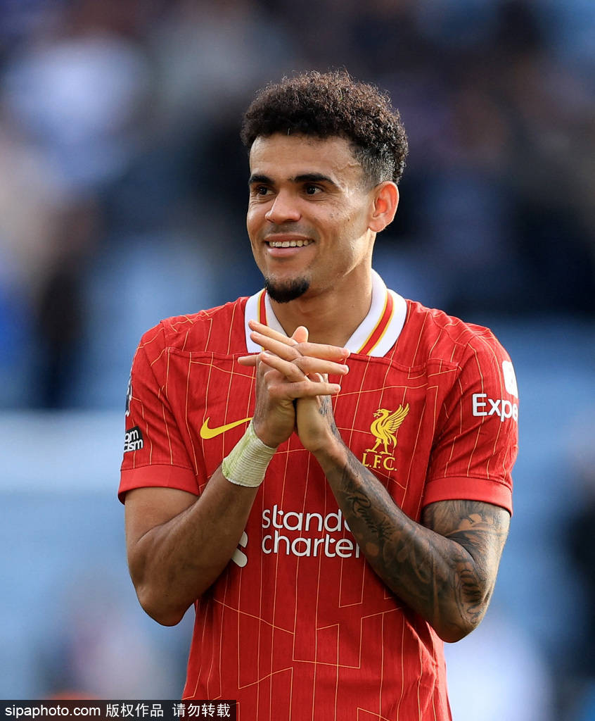 一种偶然的 一种偶然的