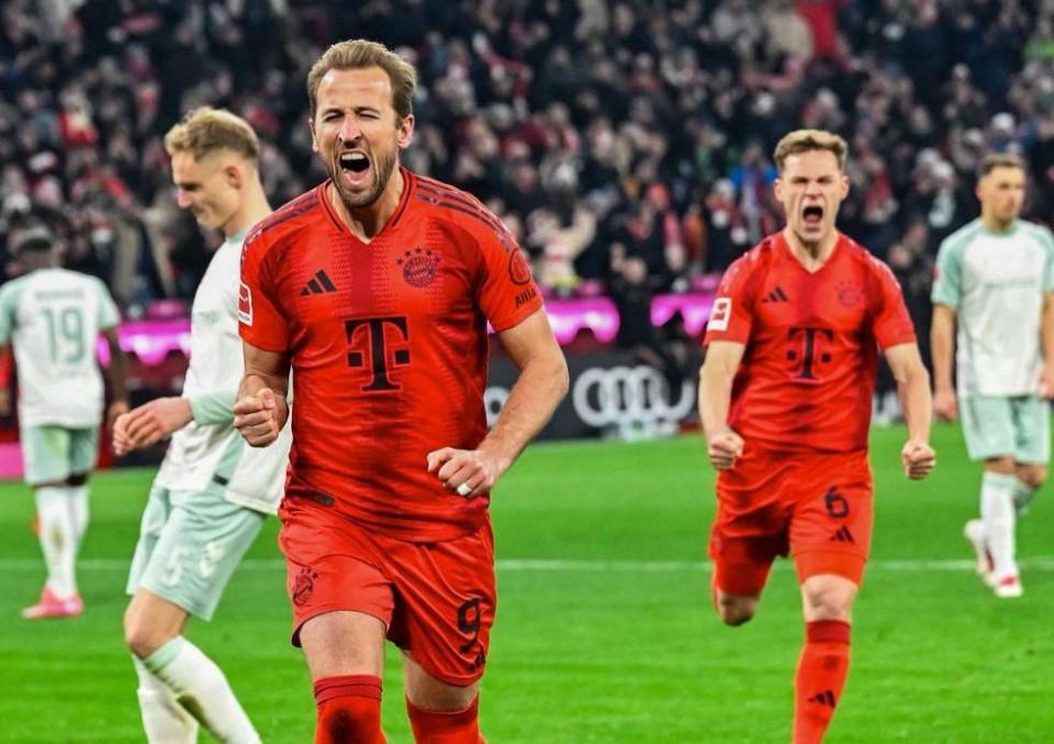 他在球探体 他在球探体