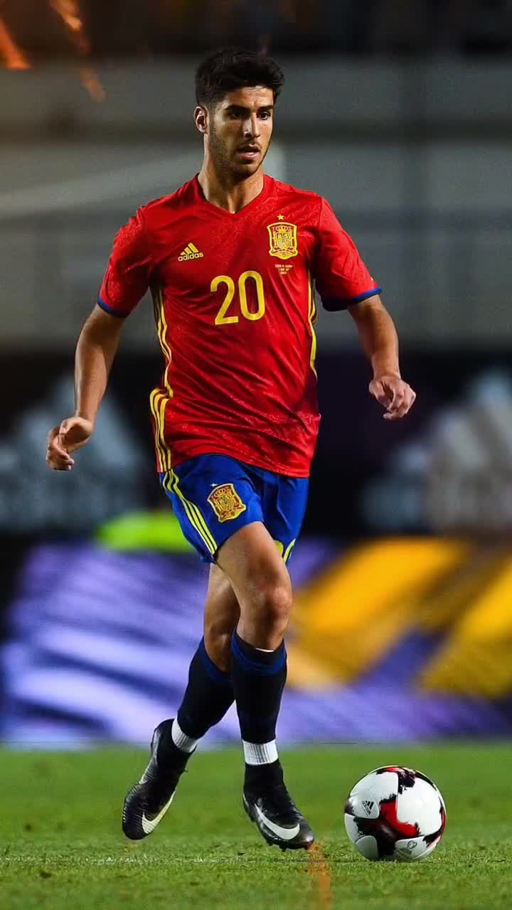 锋与第一条 锋与第一条